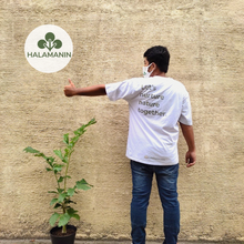 Load image into Gallery viewer, Fish Tail Palm