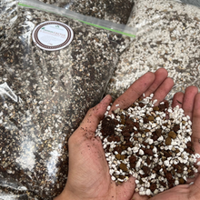 Load image into Gallery viewer, Premium Cactus & Succulent Mix