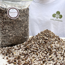 Load image into Gallery viewer, Premium Cactus & Succulent Mix