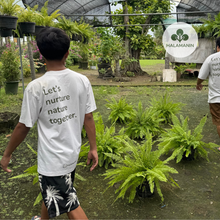 Load image into Gallery viewer, Boston Fern