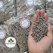 Load image into Gallery viewer, Pumice (Matanghito Size)