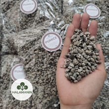 Load image into Gallery viewer, Pumice (Corn Size)