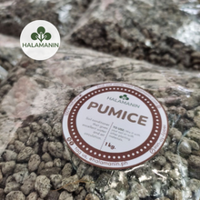 Load image into Gallery viewer, Pumice (Monggo Size)