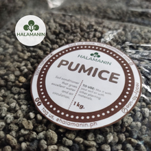 Load image into Gallery viewer, Pumice (Matanghito Size)