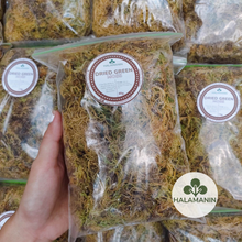 Load image into Gallery viewer, Dried Green Moss