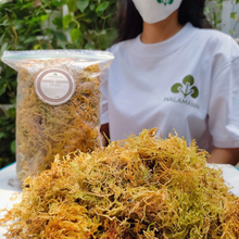 Load image into Gallery viewer, Dried Green Moss