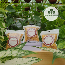 Load image into Gallery viewer, Osmocote Slow Release Ferilizer (14-14-14)