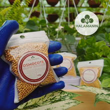 Load image into Gallery viewer, Osmocote Slow Release Ferilizer (14-14-14)