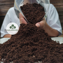 Load image into Gallery viewer, Peat Moss (Klasmann TS3)