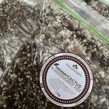 Load image into Gallery viewer, Premium Cactus & Succulent Mix