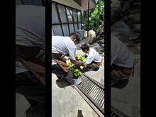 Load and play video in Gallery viewer, Vertical Garden