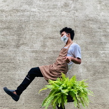 Load image into Gallery viewer, Variegated Boston Fern