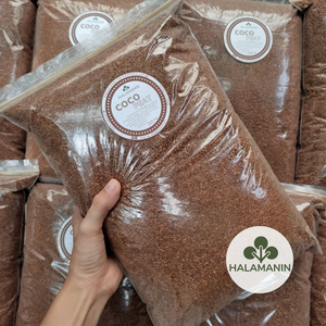 Screened and Sterilized Coco Peat