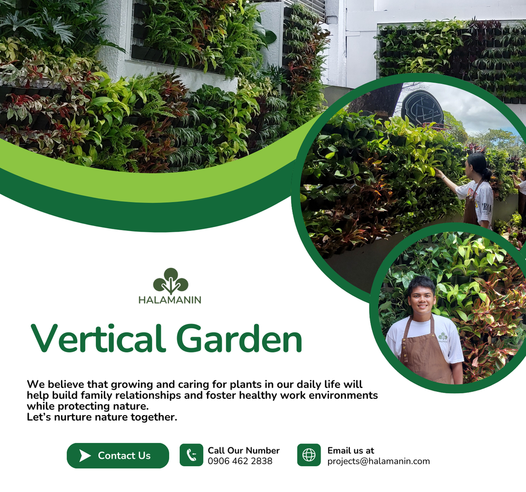 Vertical Garden (Standard Size: 4x8 ft.)