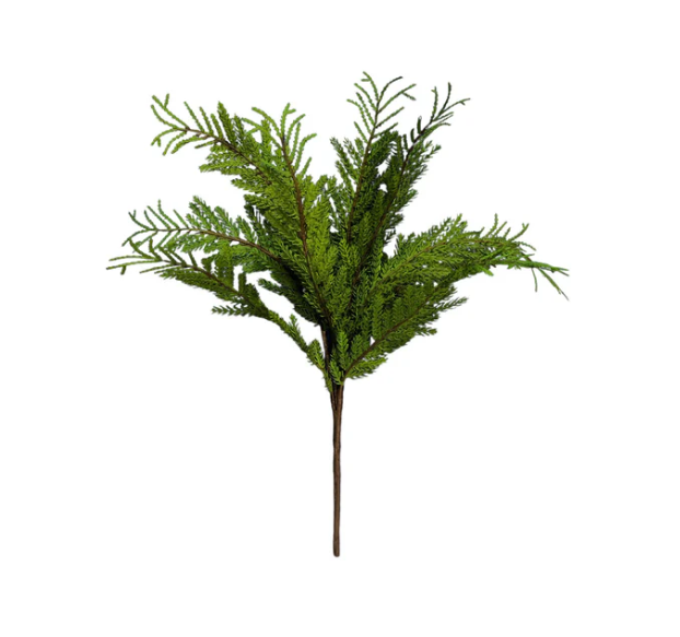 Cypress Bush 46cm.