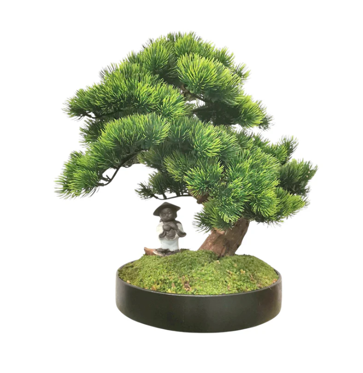 Gifu Bonsai with Pot