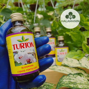 Original Turton Blooming Fertilizer